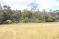 Property photo of 140 Dakins Road Gray TAS 7215