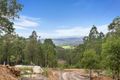 Property photo of 278 Thursbys Road Congewai NSW 2325
