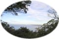 Property photo of 133 Inlet Drive Denmark WA 6333