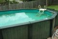Property photo of 3 Areca Court Narangba QLD 4504