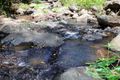 Property photo of 8/924 Blue Knob Road Nimbin NSW 2480