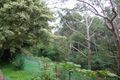 Property photo of 1/7 Garden Street Telopea NSW 2117