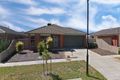 Property photo of 41 Chase Boulevard Alfredton VIC 3350