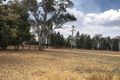 Property photo of 3 Dubbo Street Elong Elong NSW 2831