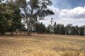 Property photo of 3 Dubbo Street Elong Elong NSW 2831