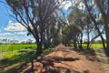 Property photo of 97 Brown Street Moora WA 6510