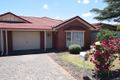 Property photo of 17 Scott Avenue Clovelly Park SA 5042