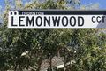 Property photo of 51 Lemonwood Circuit Thornton NSW 2322