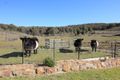 Property photo of 326 Doughertys Junction Road Hargraves NSW 2850