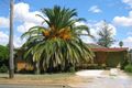 Property photo of 45 Wilburtree Street Hillvue NSW 2340