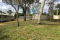 Property photo of 15 Walker Street Collinsville QLD 4804