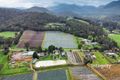 Property photo of 59 Myers Creek Road Healesville VIC 3777