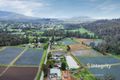 Property photo of 59 Myers Creek Road Healesville VIC 3777