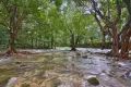 Property photo of 21 Munro Road Bellenden Ker QLD 4871
