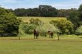Property photo of 3 Beaulieu Road Red Hill VIC 3937