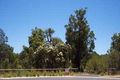Property photo of 5 Quaife Court Boyanup WA 6237