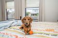Property photo of 14 Tantabiddi Heights Yangebup WA 6164