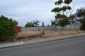 Property photo of 1A McConnell Avenue Marino SA 5049