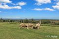 Property photo of 329 Tallegalla Two Tree Hill Road Tallegalla QLD 4340