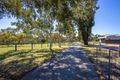 Property photo of 146 Holmes Road Munster WA 6166