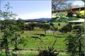 Property photo of 8 Ridge Road Coolagolite NSW 2550