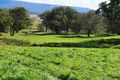 Property photo of 621 Upper Yarrowitch River Road Yarrowitch NSW 2354