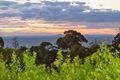 Property photo of 7 Barton Drive Mount Eliza VIC 3930
