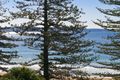 Property photo of 48 Florida Road Palm Beach NSW 2108