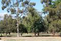 Property photo of 28 Brookwater Crescent Tatura VIC 3616