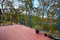 Property photo of 14 King Parrot Court Clagiraba QLD 4211