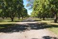 Property photo of 138 Texas Road Jensen QLD 4818