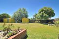 Property photo of 49 Springfield Crescent Hampton Park VIC 3976