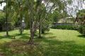 Property photo of 3 Berzinski Street Mossman QLD 4873