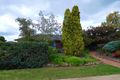 Property photo of 6 Hillary Court Shepparton VIC 3630