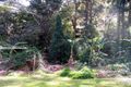 Property photo of 9 Lemon Tree Street Wyoming NSW 2250