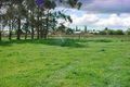 Property photo of 9 Winnaleah Road Winnaleah TAS 7265
