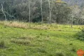 Property photo of 25A Forest Road Duns Creek NSW 2321