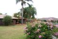 Property photo of 6 Lyn Court Bli Bli QLD 4560