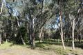Property photo of 10 Romawi Road Forge Creek VIC 3875