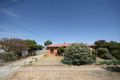 Property photo of 62 Shakespeare Avenue Plympton Park SA 5038