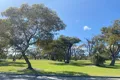 Property photo of 55 Coralberry Crescent Dianella WA 6059