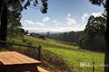 Property photo of 3003 Gembrook-Launching Place Road Gembrook VIC 3783