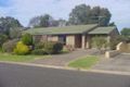 Property photo of 11 Osborne Avenue St Agnes SA 5097