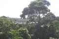 Property photo of 24 Reid Street Merimbula NSW 2548