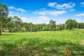 Property photo of 53 Hillview Drive Yarravel NSW 2440