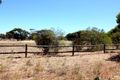 Property photo of 25 Forrest Hill Road Katanning WA 6317
