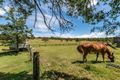 Property photo of 3517 Clarence Town Road Brookfield NSW 2420
