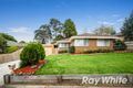 Property photo of 46 Philip Street Vermont VIC 3133