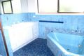 Property photo of 5 Maple Avenue Tewantin QLD 4565