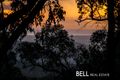 Property photo of 157-159 Mast Gully Road Ferny Creek VIC 3786
